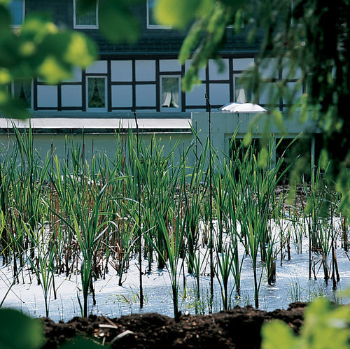 Moorland Hotel Am Senkelteich Vlotho Extérieur photo